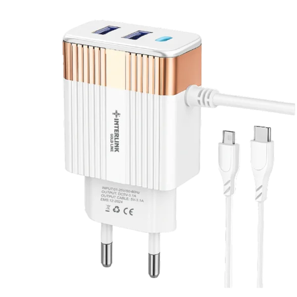 GOLD LINE DC CHARGER 12V-Smart Charging for 12V Batteries